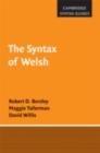 The Syntax of Welsh - eBook