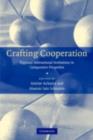 Crafting Cooperation : Regional International Institutions in Comparative Perspective - eBook