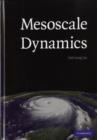 Mesoscale Dynamics - eBook