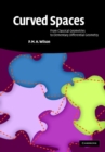 Curved Spaces : From Classical Geometries to Elementary Differential Geometry - eBook