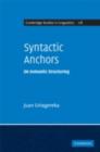 Syntactic Anchors : On Semantic Structuring - eBook