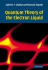 Quantum Theory of the Electron Liquid - eBook