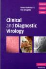 Clinical and Diagnostic Virology - eBook