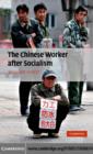 Chinese Worker after Socialism - eBook