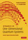 Dynamics of One-Dimensional Quantum Systems : Inverse-Square Interaction Models - eBook