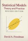 Statistical Models : Theory and Practice - eBook