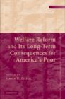 Welfare Reform and its Long-Term Consequences for America's Poor - eBook
