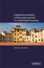 Capital Accumulation and Economic Growth in a Small Open Economy - eBook