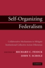 Self-Organizing Federalism : Collaborative Mechanisms to Mitigate Institutional Collective Action Dilemmas - eBook