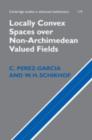 Locally Convex Spaces over Non-Archimedean Valued Fields - eBook