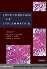 Fundamentals of Inflammation - eBook