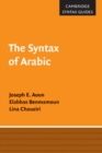 Syntax of Arabic - eBook
