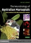 Neurobiology of Australian Marsupials : Brain Evolution in the Other Mammalian Radiation - eBook