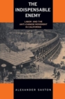 The Indispensable Enemy : Labor and the Anti-Chinese Movement in California - Book