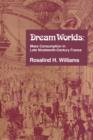 Dream Worlds : Mass Consumption in Late Nineteenth Century France - Book