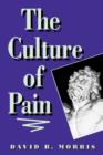 The Culture of Pain - Book