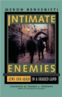 Intimate Enemies : Jews and Arabs in a Shared Land - Book