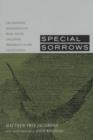 Special Sorrows : The Diasporic Imagination of Irish, Polish, and Jewish Immigrants in the United States - Book