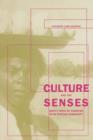 Culture and the Senses : Bodily Ways of Knowing in an African Community - Book