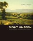 Sight Unseen : Whiteness and American Visual Culture - Book