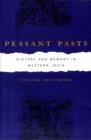 Peasant Pasts : History and Memory in Western India - Book