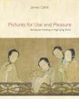 Pictures for Use and Pleasure : Vernacular Painting in High Qing China - Book