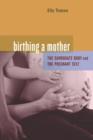 Birthing a Mother : The Surrogate Body and the Pregnant Self - Book