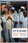 City of 201 Gods : Ile-Ife in Time, Space, and the Imagination - Book