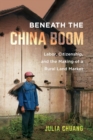 Beneath the China Boom : Labor, Citizenship, and the Making of a Rural Land Market - Book