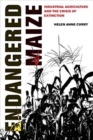Endangered Maize : Industrial Agriculture and the Crisis of Extinction - Book