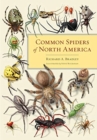 Common Spiders of North America - Book