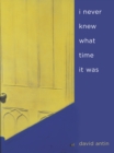 i never knew what time it was - eBook
