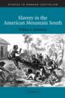 Slavery in the American Mountain South - Book