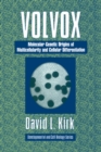 Volvox : A Search for the Molecular and Genetic Origins of Multicellularity and Cellular Differentiation - Book