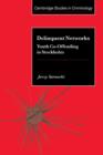 Delinquent Networks : Youth Co-Offending in Stockholm - Book