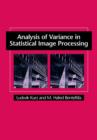 Analysis of Variance in Statistical Image Processing - Book