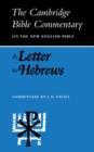 A Letter to Hebrews - Book