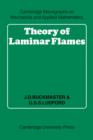 Theory of Laminar Flames - Book