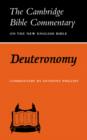 Deuteronomy - Book