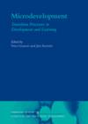 Microdevelopment : Transition Processes in Development and Learning - Book