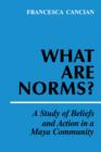 What Are Norms? : A Study of Beliefs and Action in a Maya Community - Book