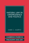 Natural Law in Jurisprudence and Politics - Book