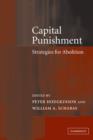 Capital Punishment : Strategies for Abolition - Book