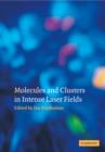 Molecules and Clusters in Intense Laser Fields - Book