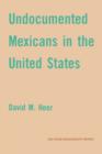 Undocumented Mexicans in the USA - Book
