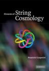 Elements of String Cosmology - Book