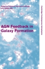 AGN Feedback in Galaxy Formation - Book