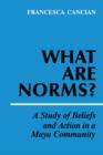 What Are Norms? : A Study of Beliefs and Action in a Maya Community - Book