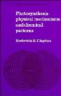 Photosynthesis : Physical Mechanisms and Chemical Patterns - Book