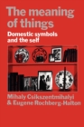 The Meaning of Things : Domestic Symbols and the Self - Book